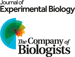 Journal of Experimental Biology